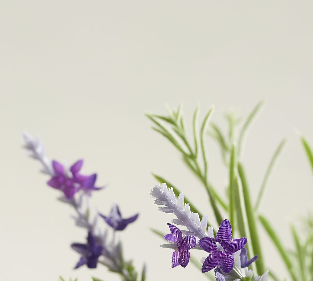 Faux Lavender Topiaries Pottery Barn