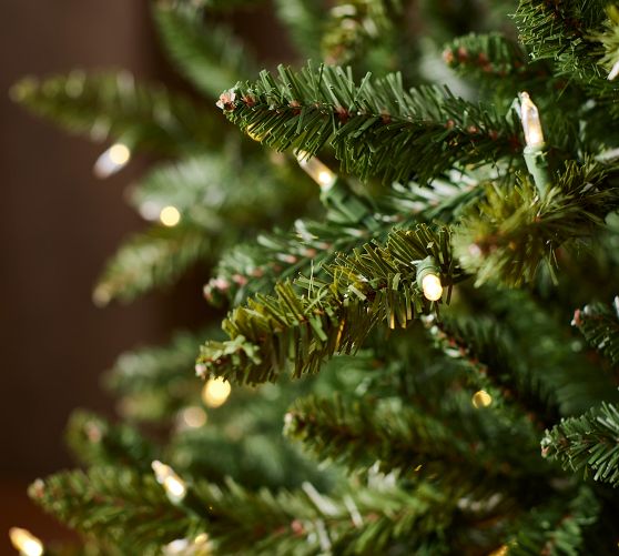 Deluxe Noble Fir Faux Christmas Tree Pottery Barn