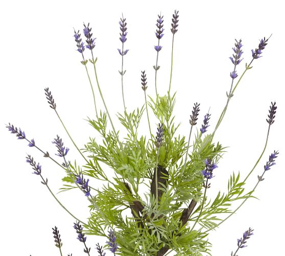 Faux Potted Lavender Topiary Tree Pottery Barn