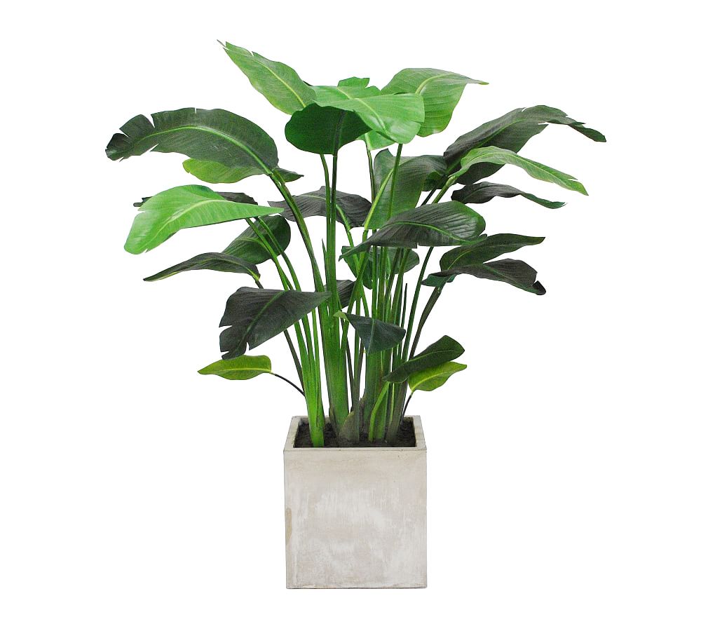 Faux Travelers Palm In Planter Pottery Barn