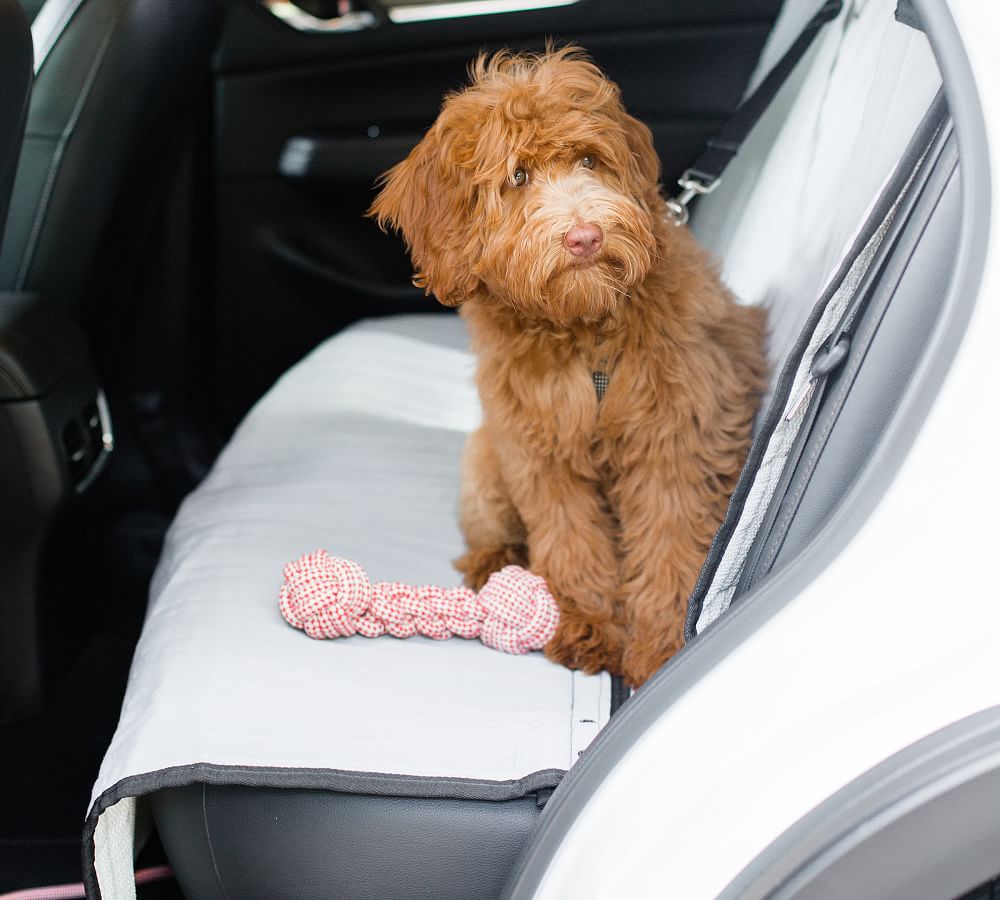Harry Barker Pet Car Seat Cover Pet Accessories Pottery Barn