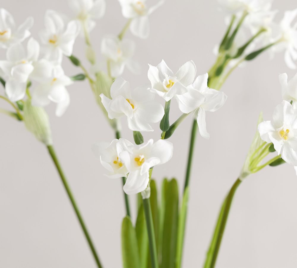 Faux Paperwhite Bouquet Pottery Barn