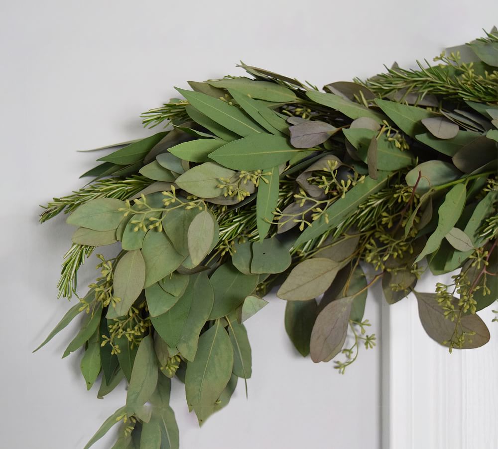 Fresh Bay Leaf, Eucalyptus & Rosemary Garland Pottery Barn