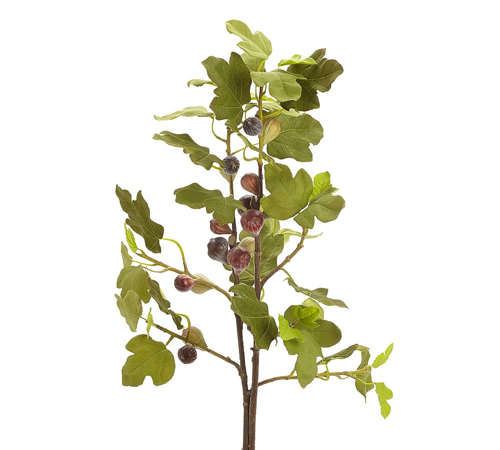 Fig Branch Artificial Flowers Pottery Barn