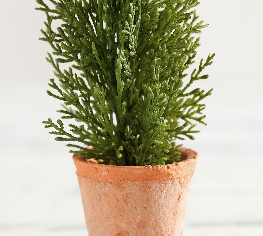 Potted Mini Faux Pine Tree Pottery Barn