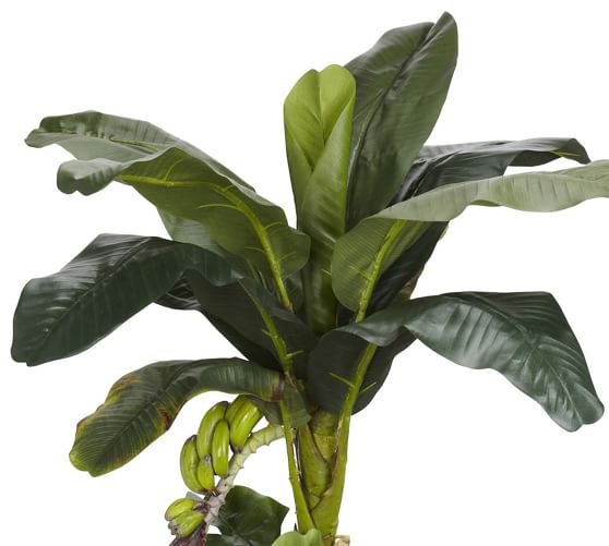 Faux Potted Banana Tree Pottery Barn