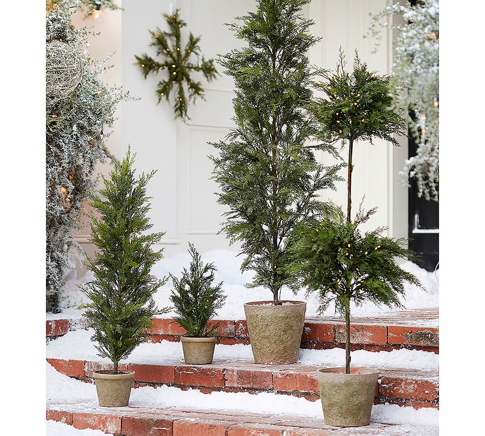 Faux Lit Cypress Double Ball Topiary Pottery Barn