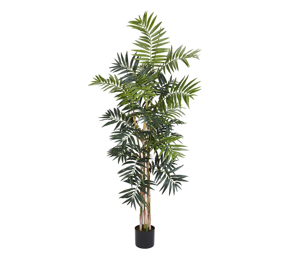 Faux Bamboo Palm Tree Pottery Barn