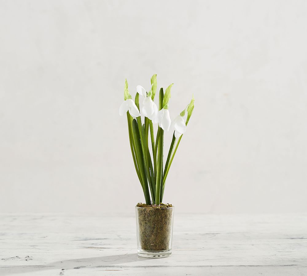 Faux Potted Paperwhites in Glass Vase | Pottery Barn