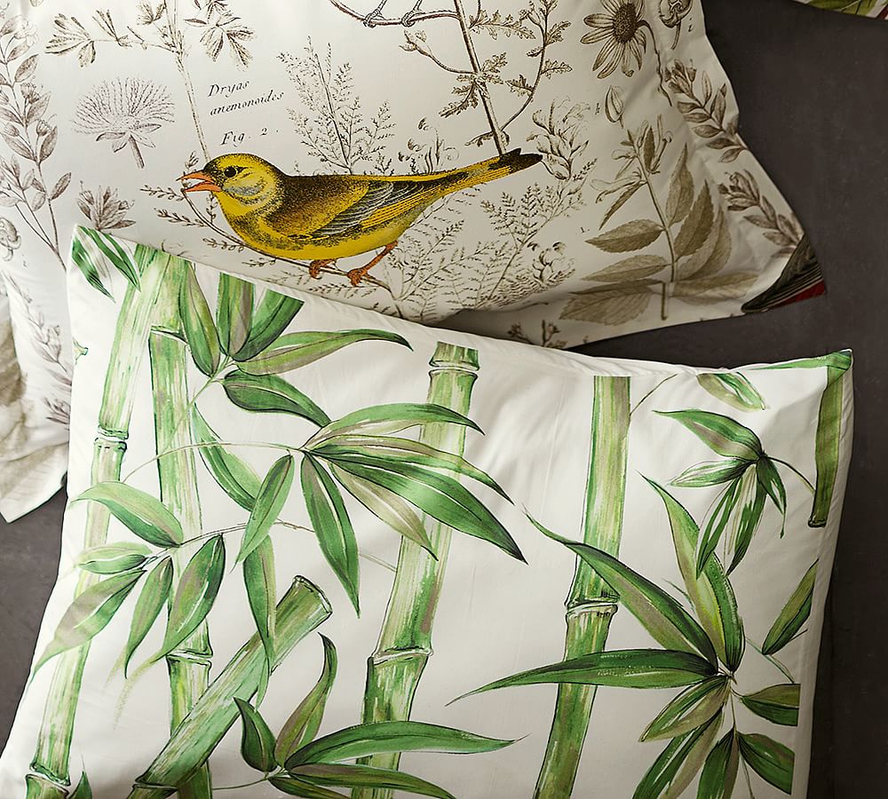 Bamboo Print Organic Patterned Duvet Cover & Sham Pottery Barn