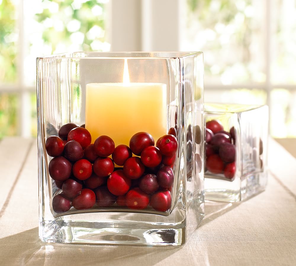 Cranberry Vase Filler Pottery Barn