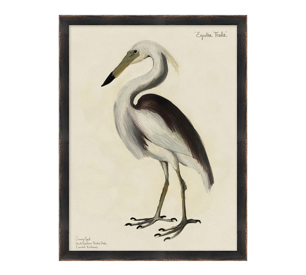 Snowy Egret Print | Pottery Barn