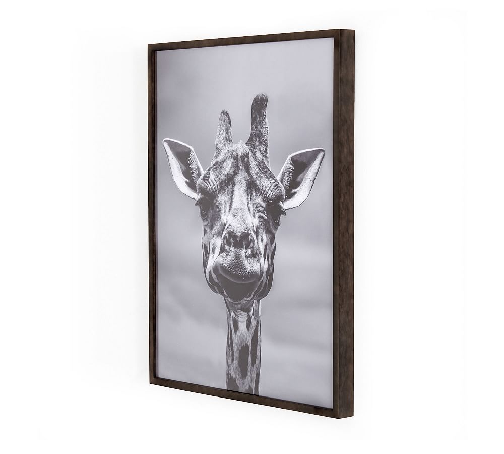 Giraffe Framed Print Pottery Barn