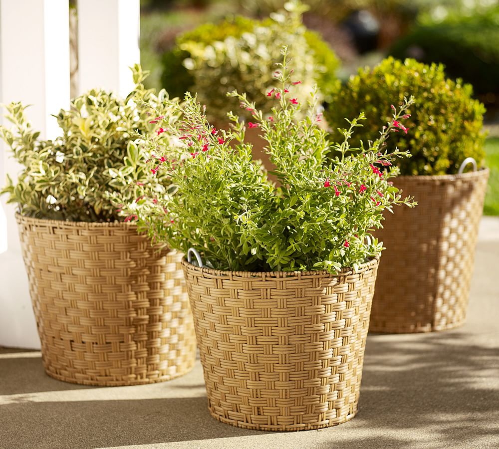Glenwillow AllWeather Wicker Planters Pottery Barn
