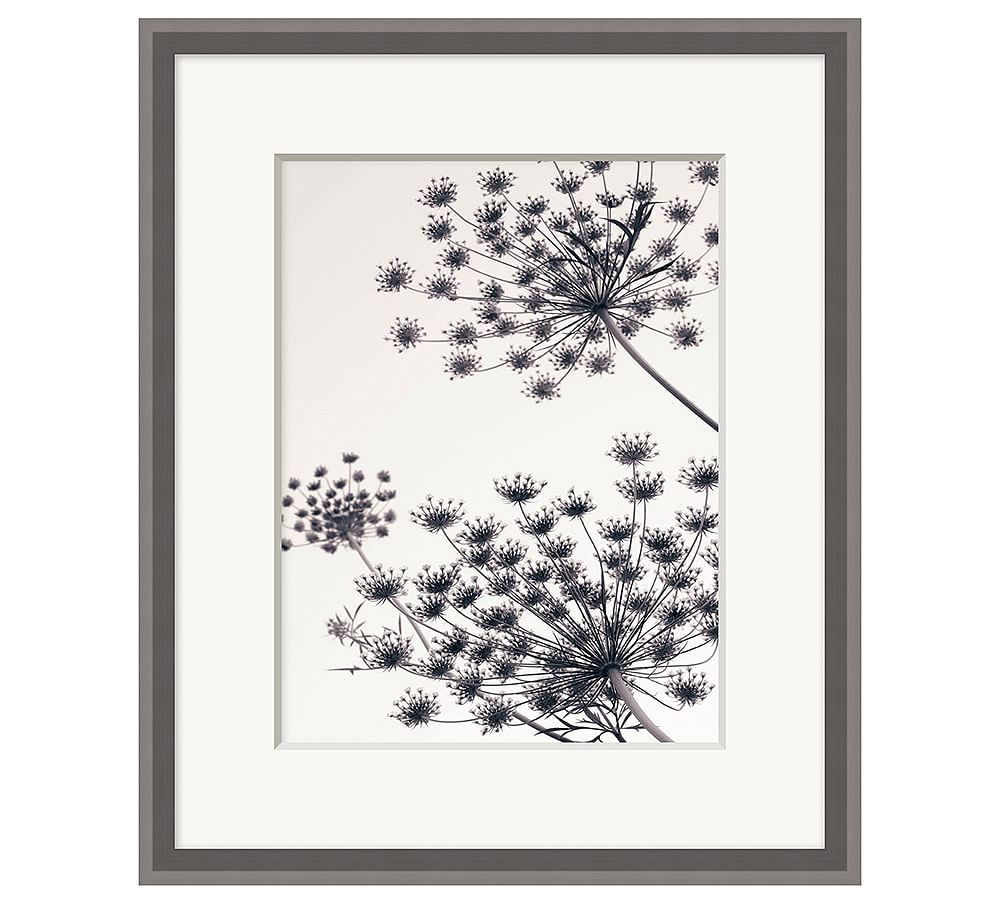 Fennel in the Wind Framed Print | Pottery Barn