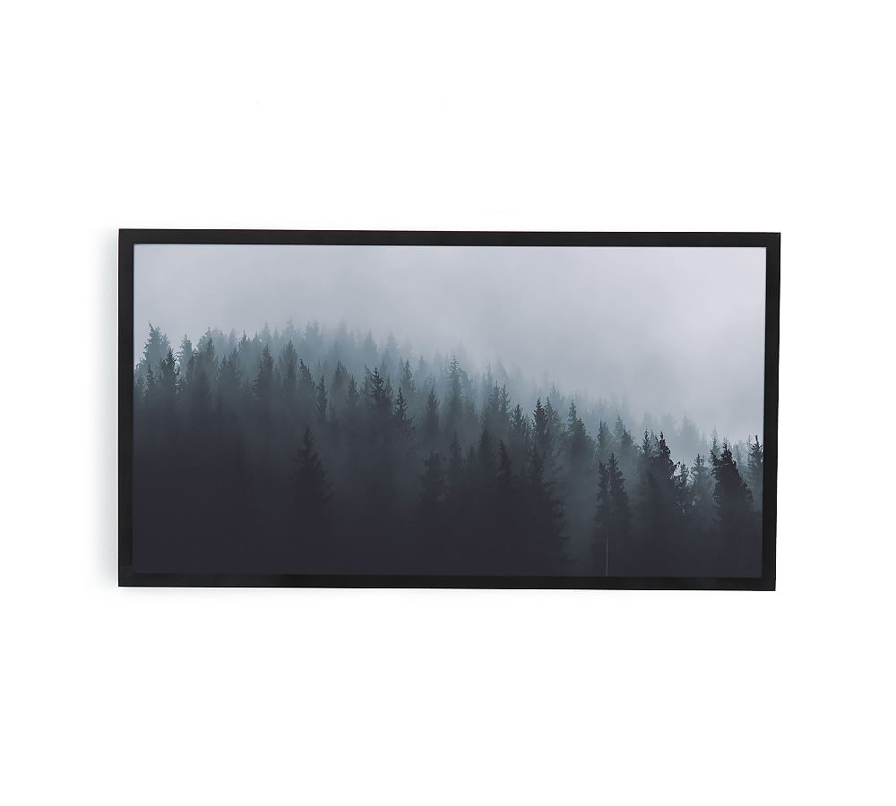 Blue Forest Framed Prints | Pottery Barn