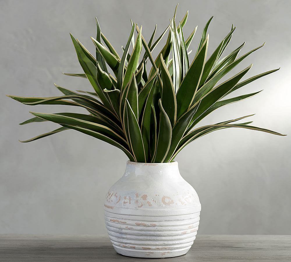 Faux Agave Stem Pottery Barn