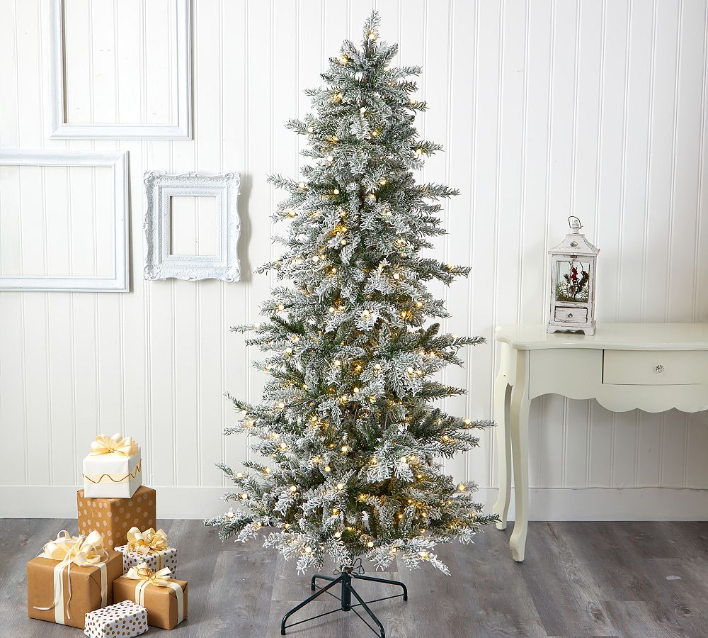 Pre-Lit Slim Flocked Nova Scotia Spruce Faux Christmas Tree | Pottery Barn
