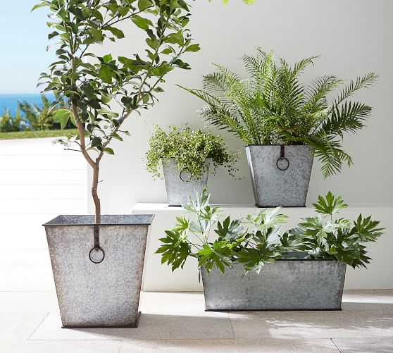 Galvanized Roland Outdoor Planters Pottery Barn