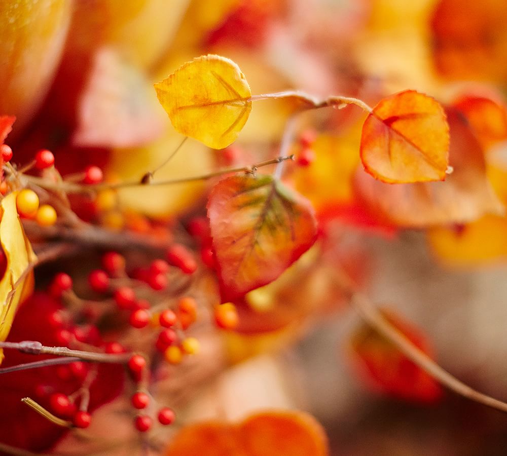 Bittersweet Wreath & Garland Pottery Barn