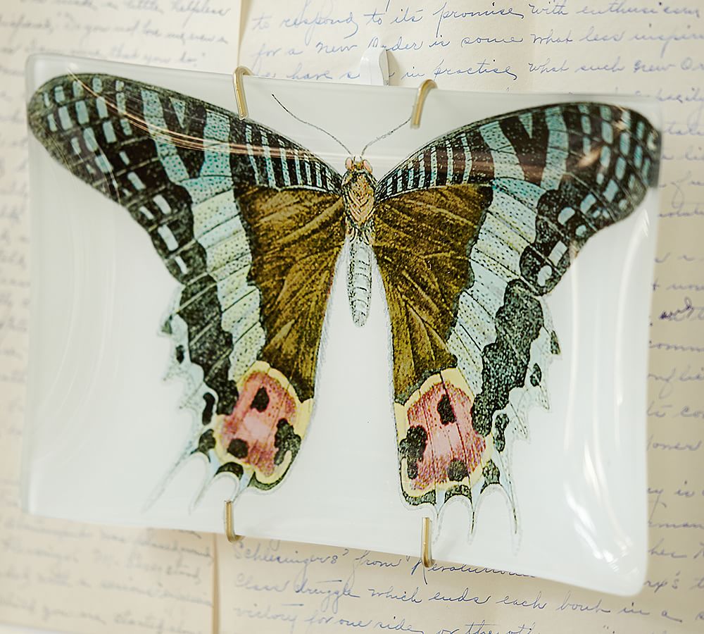 Bird & Butterfly Decoupage Trays Decorative Objects Pottery Barn