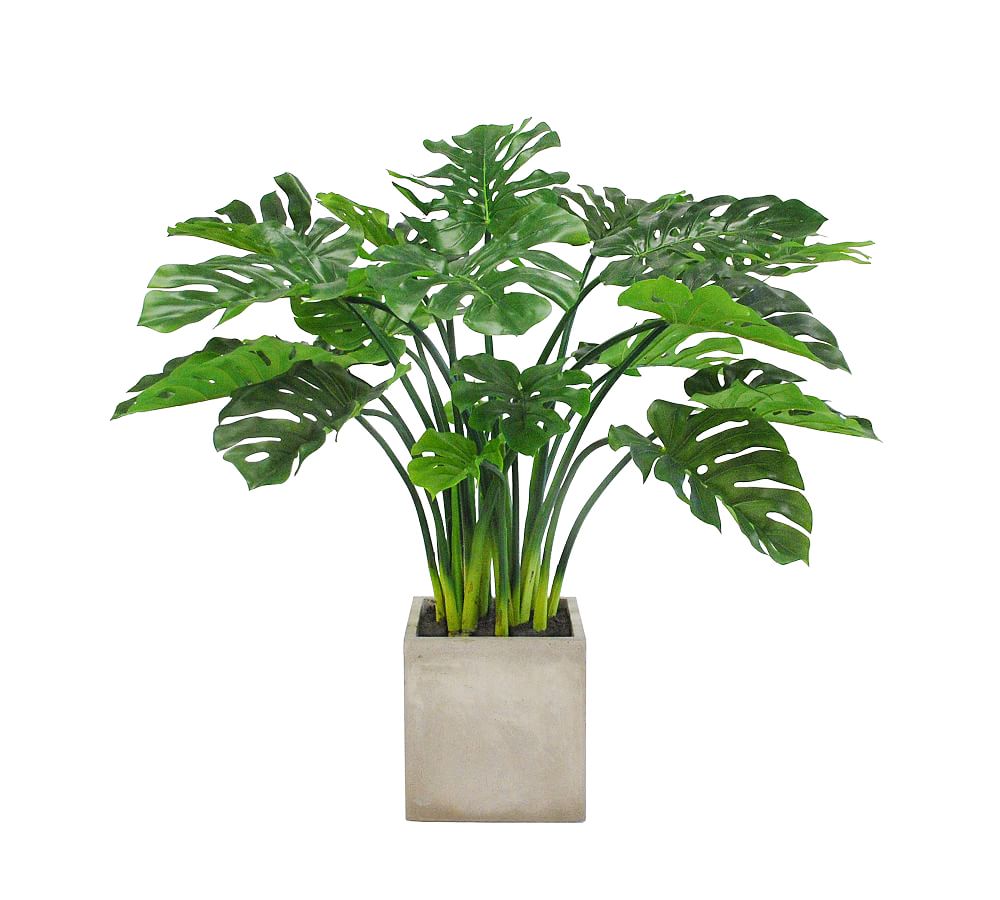 Faux Split Leaf Philo In Planter Pottery Barn