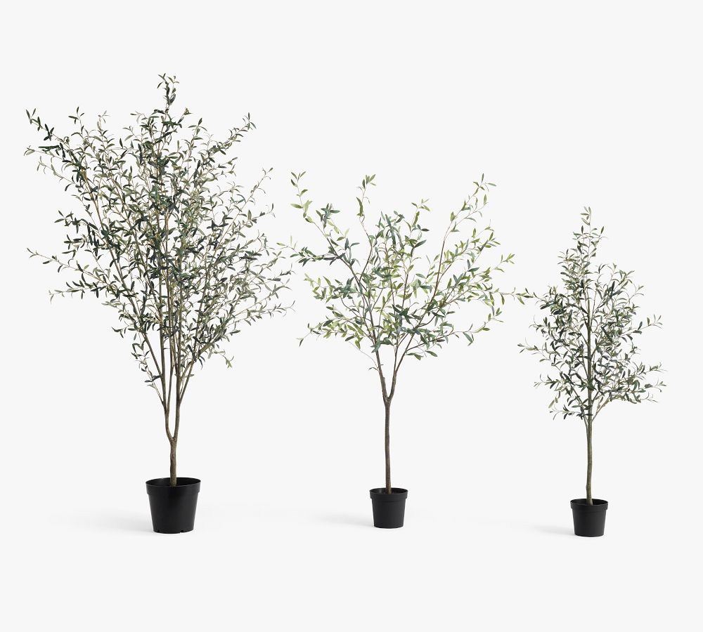 Faux Potted Olive Trees Pottery Barn 