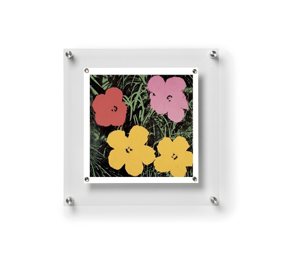 Acrylic Floating Single Panel Gallery Frames with Pottery Barn
