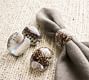 Tiger Cowrie Shell Napkin Rings - Set of 4 | Pottery Barn