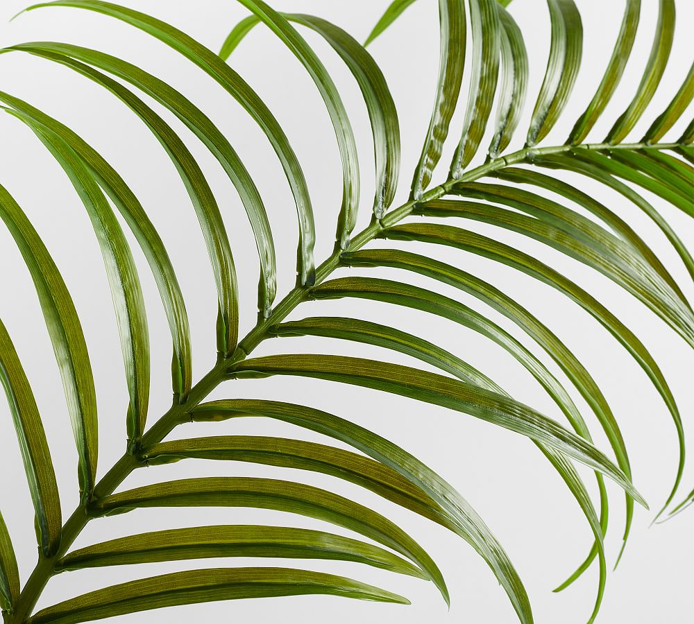 Faux Oversized Palm Leaf Branches Pottery Barn