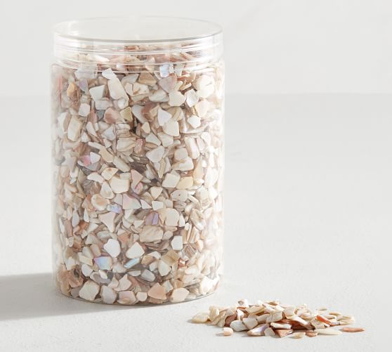 Seashell Pieces Vase Filler Pottery Barn