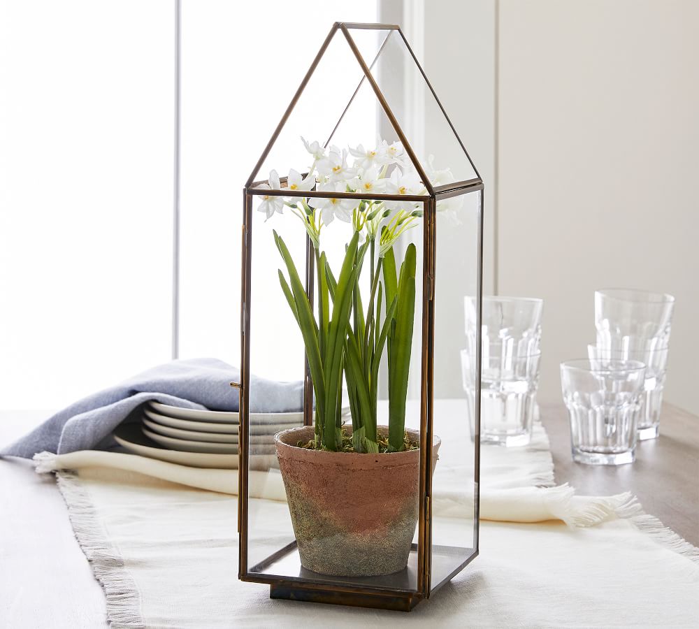 Faux Potted Paperwhites Pottery Barn