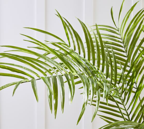 Faux Leafy Palm Tree | Pottery Barn