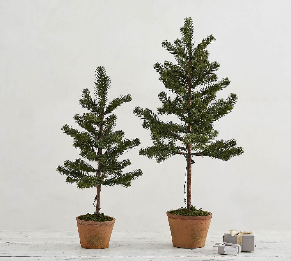 PreLit Faux Potted Pine Trees Pottery Barn