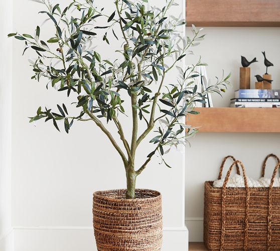 Faux Olive Tree Pottery Barn