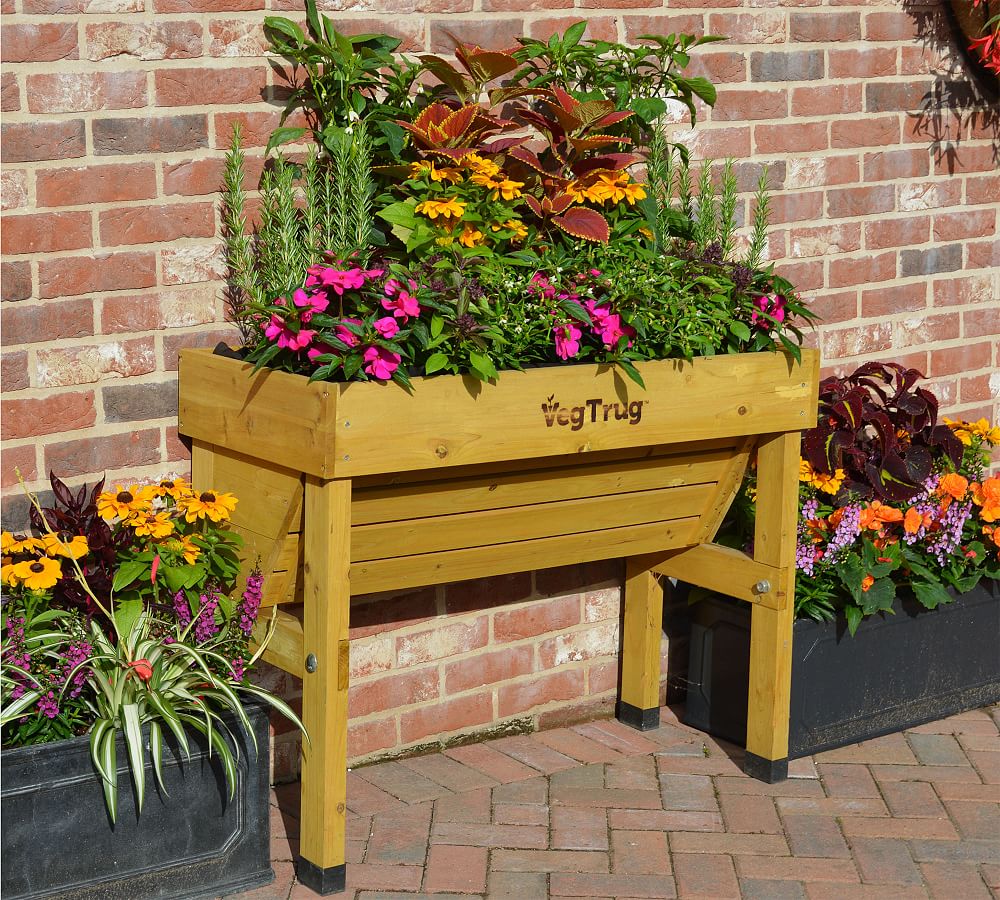 VegTrug Wall Hugger Raised Garden Bed | Pottery Barn