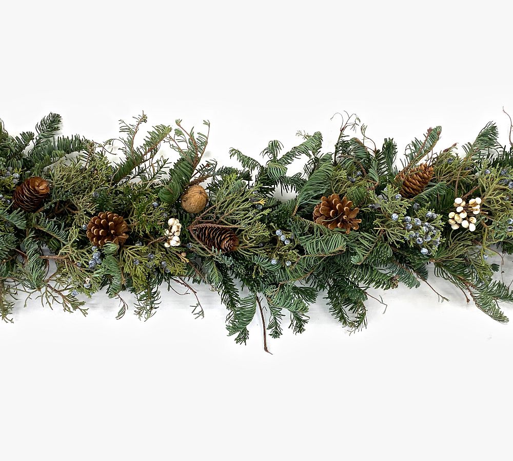 Fresh Juniper, Pinecone & Tallow Berry Garland 6' Pottery Barn
