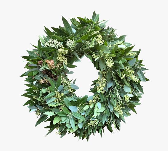 Fresh Bay Leaf, Eucalyptus, and Rosemary Wreath Pottery Barn