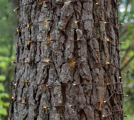 Warm White LED Net Lights Pottery Barn