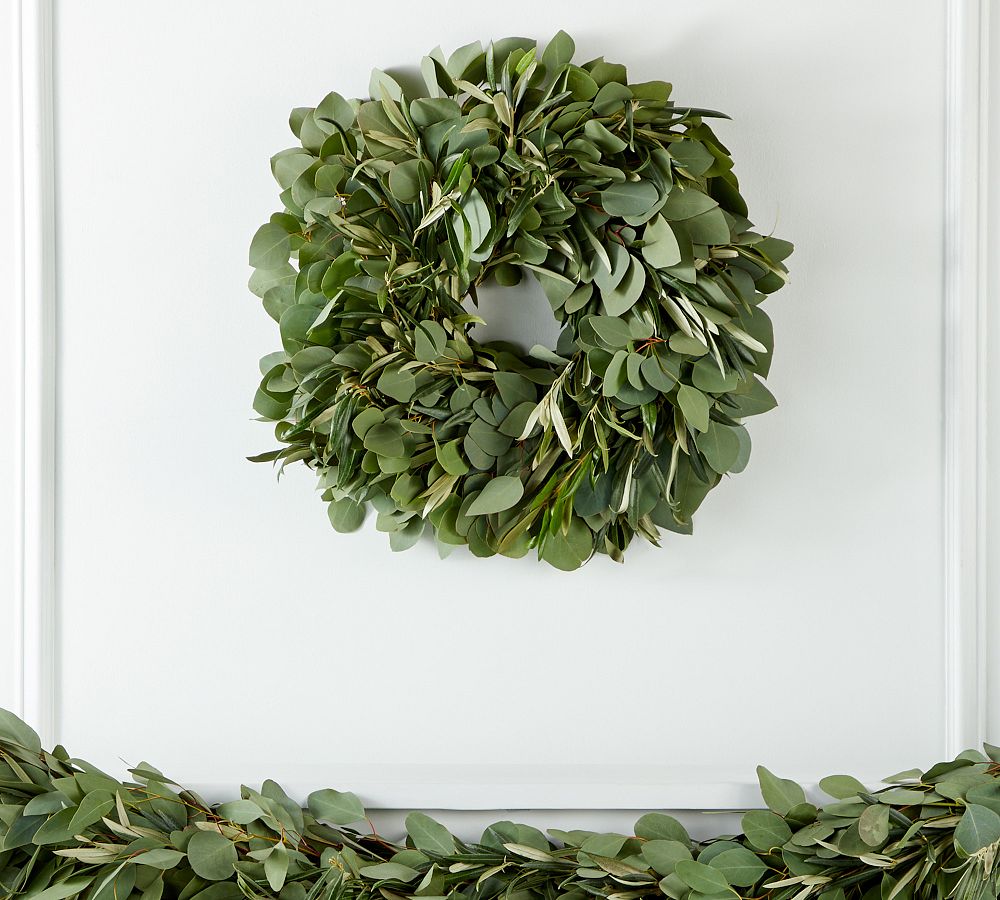 Fresh Silver Dollar Eucalyptus Olive Wreath & Garland Pottery Barn