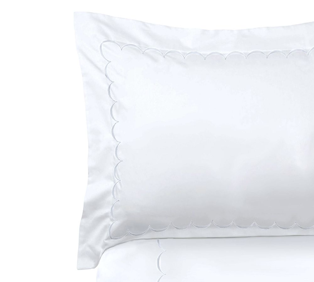 Sadee Embroidered Duvet Cover Set Pottery Barn