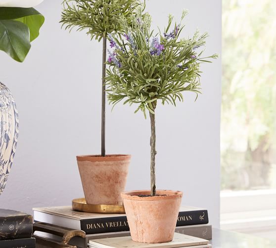Faux Lavender Topiaries Pottery Barn