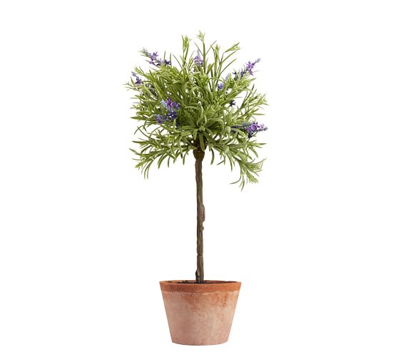 Faux Lavender Topiaries Pottery Barn