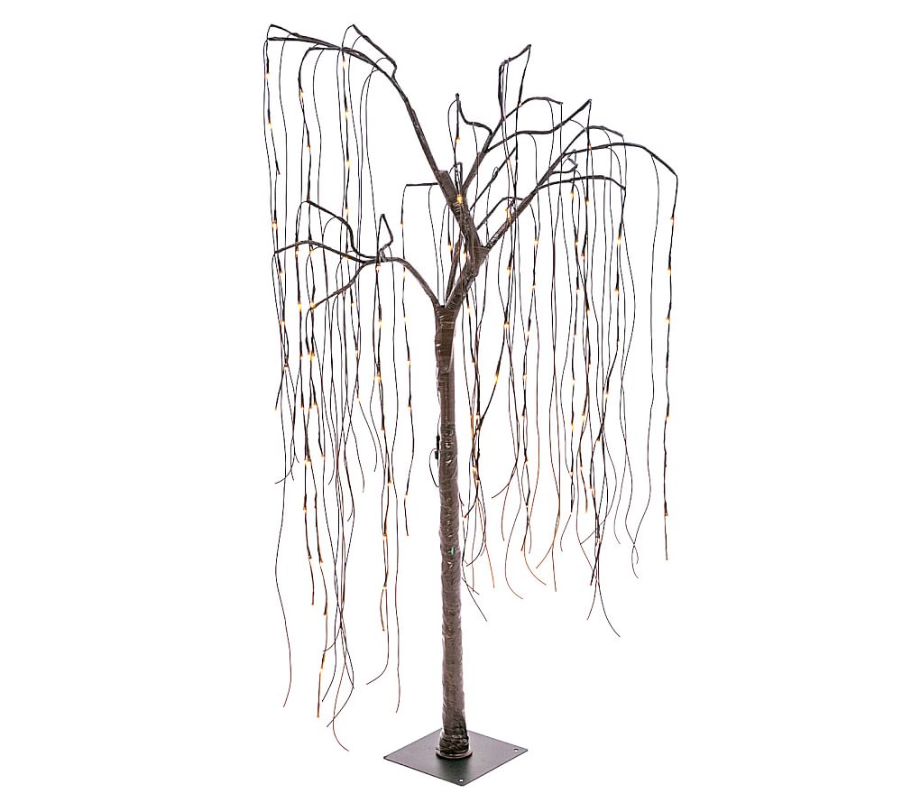 Lit Willow Tree Pottery Barn