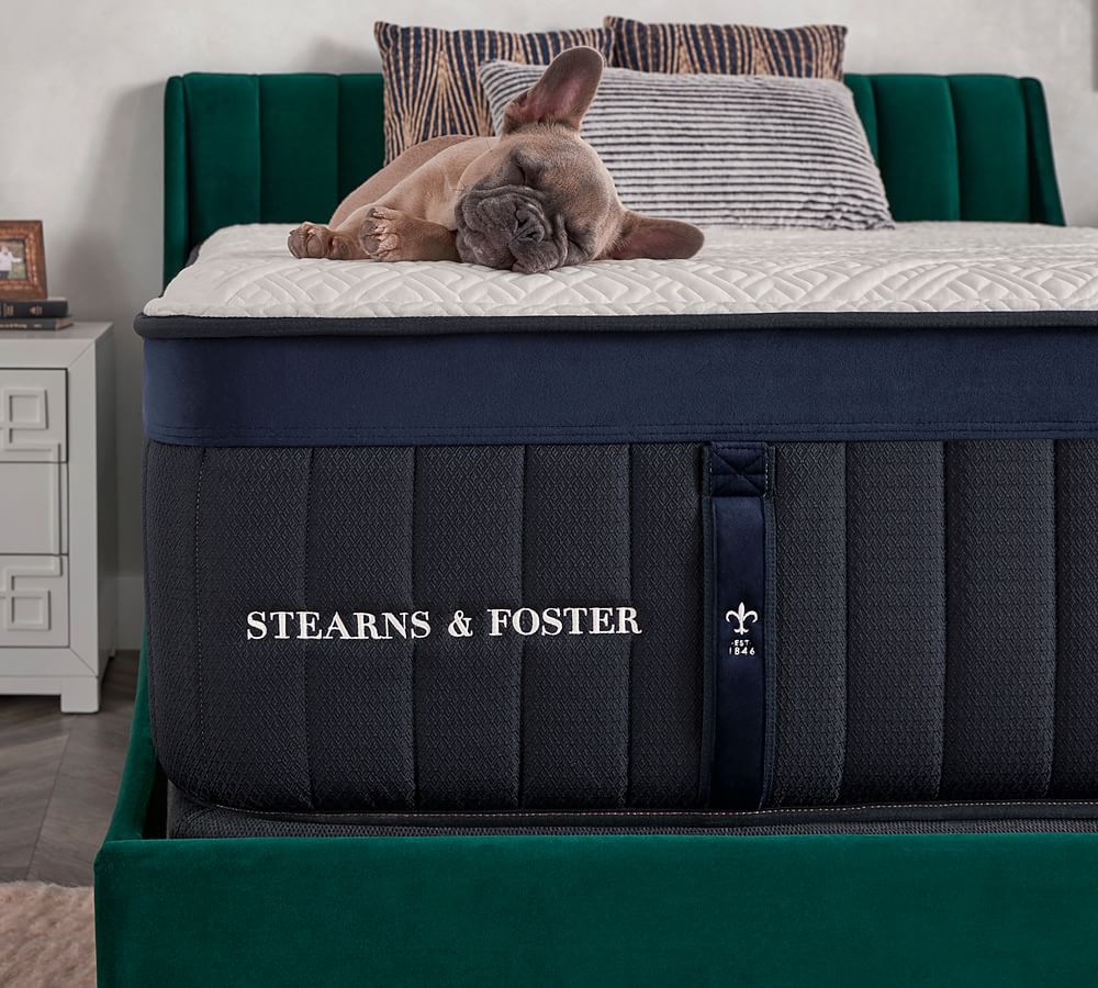 Stearns & Foster® Lux Estate Pollock Mattress Pottery Barn