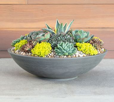 Hevea Outdoor Bowl Planters 