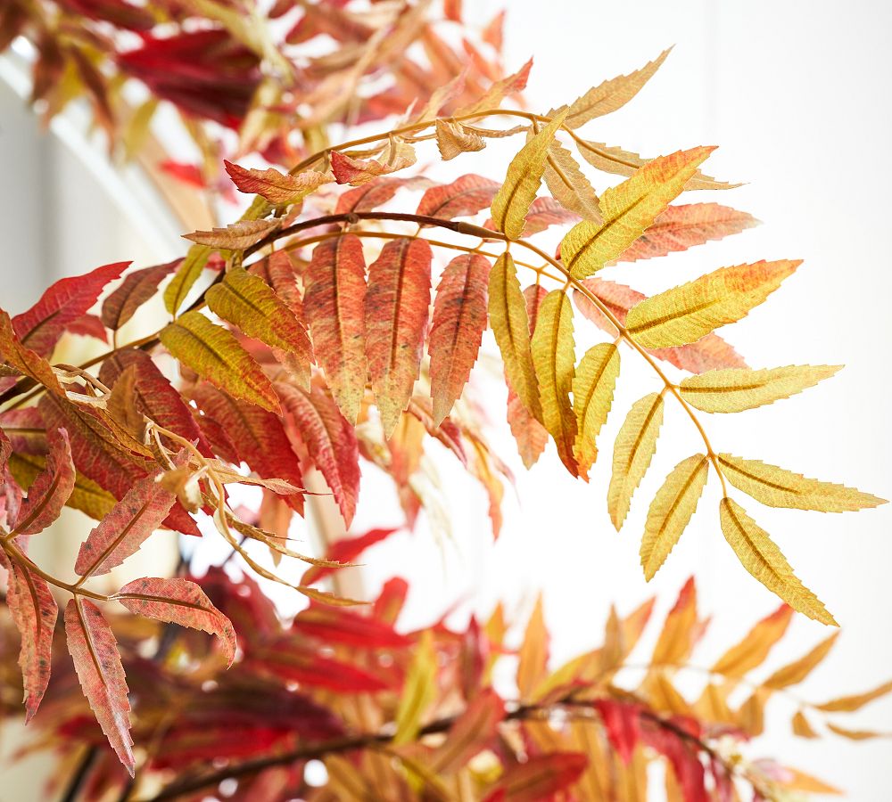 Faux Sumac Branch | Pottery Barn