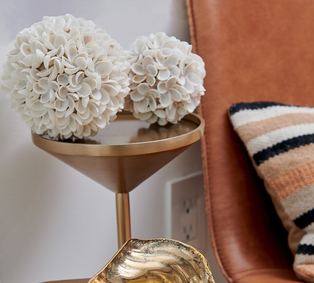 Decorative Seashell Vase Fillers Set of 2 Pottery Barn