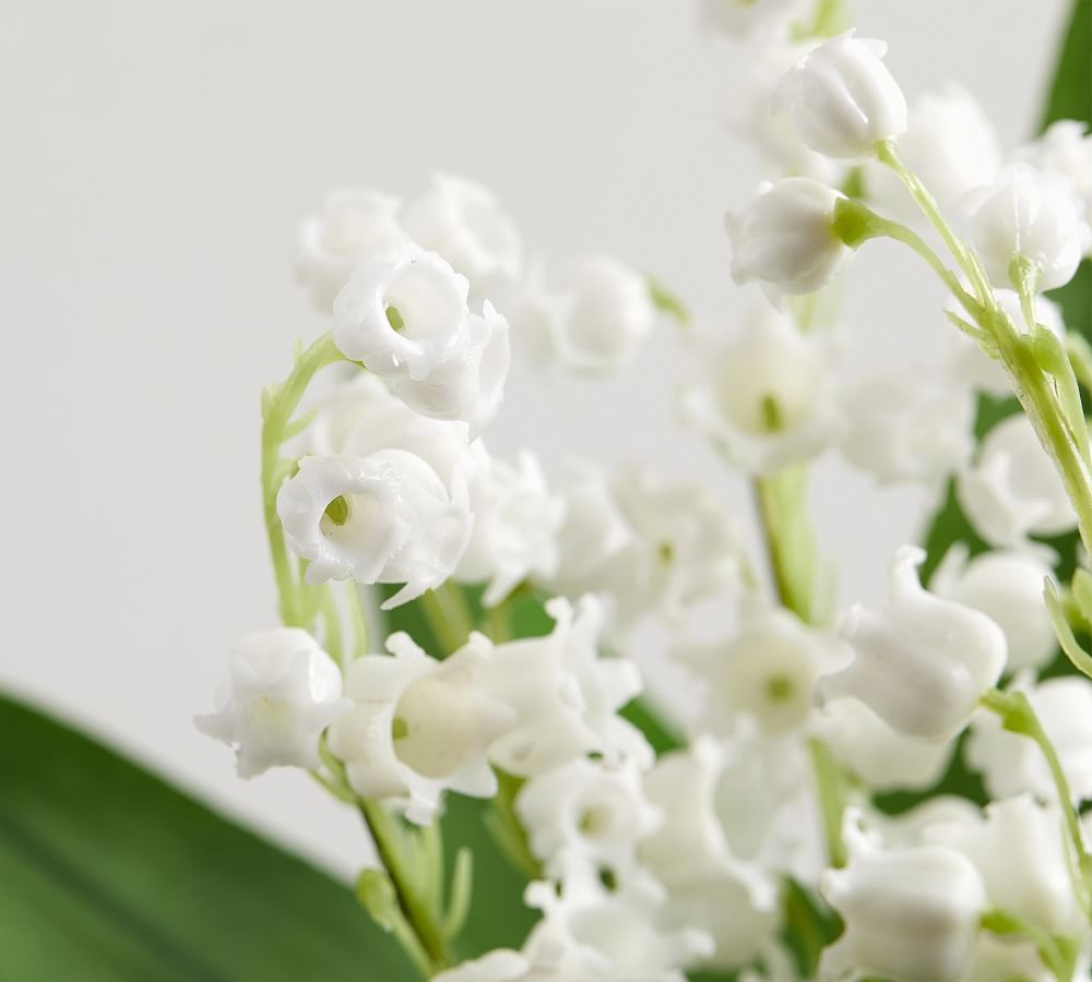 Monique Lhuillier Faux Lily Of The Valley Clippings Pottery Barn