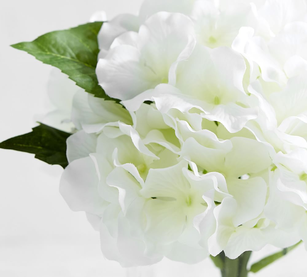 Faux White Hydrangea Composed Arrangement Pottery Barn